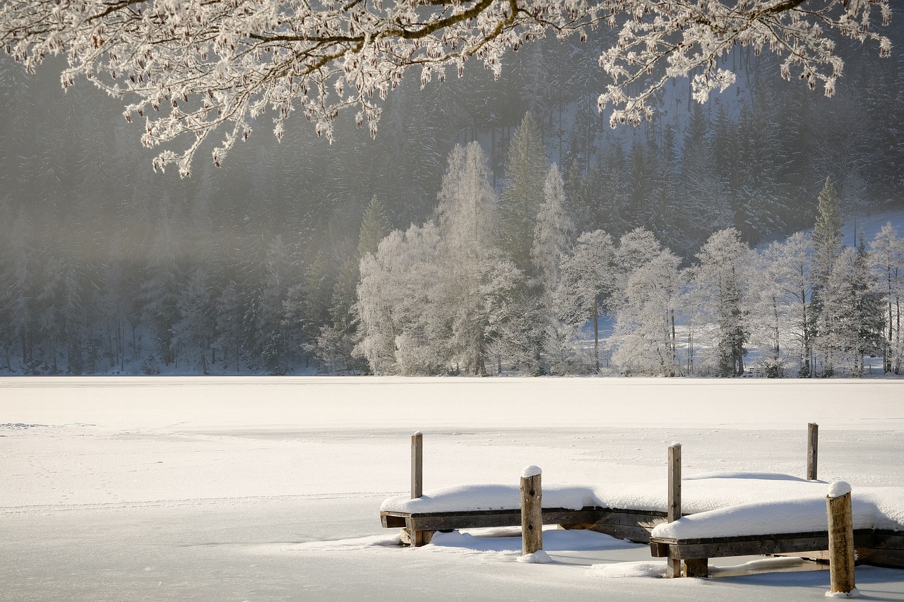 How to Paint a Snowy Winter Landscape